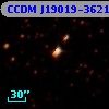 CCDM J19019-3621B