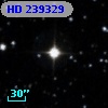 HD 239329