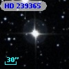 HD 239365