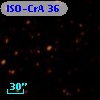 ISO-CrA  36