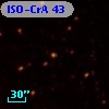 ISO-CrA  43