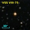 VSS VIII-75