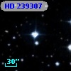 HD 239307