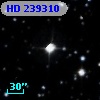 HD 239310