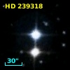 HD 239318