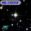 HD 239350