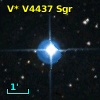 V* V4437 Sgr