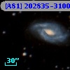 [A81] 202835-3100NE