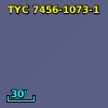 TYC 7456-1073-1