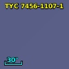 TYC 7456-1107-1
