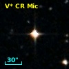 V* CR Mic