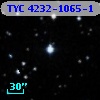 TYC 4232-1065-1