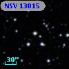 NSV 13015