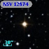 NSV 12874