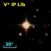 V* IP Lib