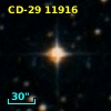 CD-29 11916