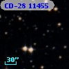 CD-28 11455