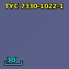 TYC 7330-1022-1