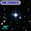 HD 239423