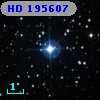 HD 195607
