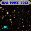 IRAS 16066-3202