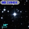 HD 239431