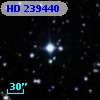 HD 239440