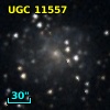 UGC 11557