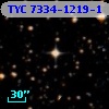 TYC 7334-1219-1