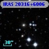 IRAS 20316+6006