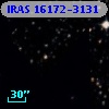 IRAS 16172-3131
