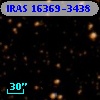 IRAS 16369-3438