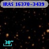 IRAS 16370-3439