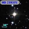 HD 239375