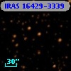 IRAS 16429-3339