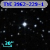 TYC 3962-229-1
