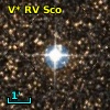 V* RV Sco