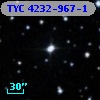 TYC 4232-967-1
