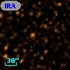 IRAS 16536-3346