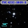 TYC 4232-1018-1