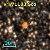 V* V1183 Sco