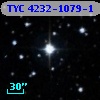 TYC 4232-1079-1