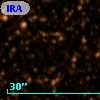IRAS 16558-3417