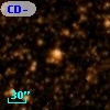 CD-33 11600