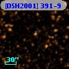 [DSH2001] 391-9