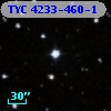 TYC 4233-460-1