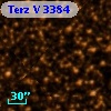 Terz V 3384