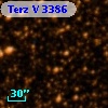 Terz V 3386