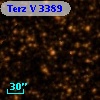 Terz V 3389