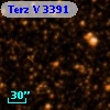 Terz V 3391